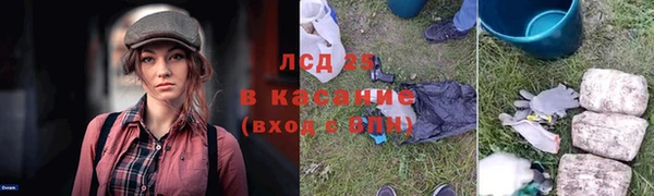 трава Абаза