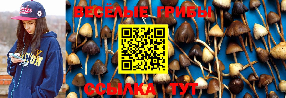 Галлюциногенные грибы Cubensis Татарск