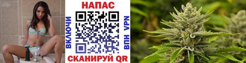 Бошки Шишки план Татарск